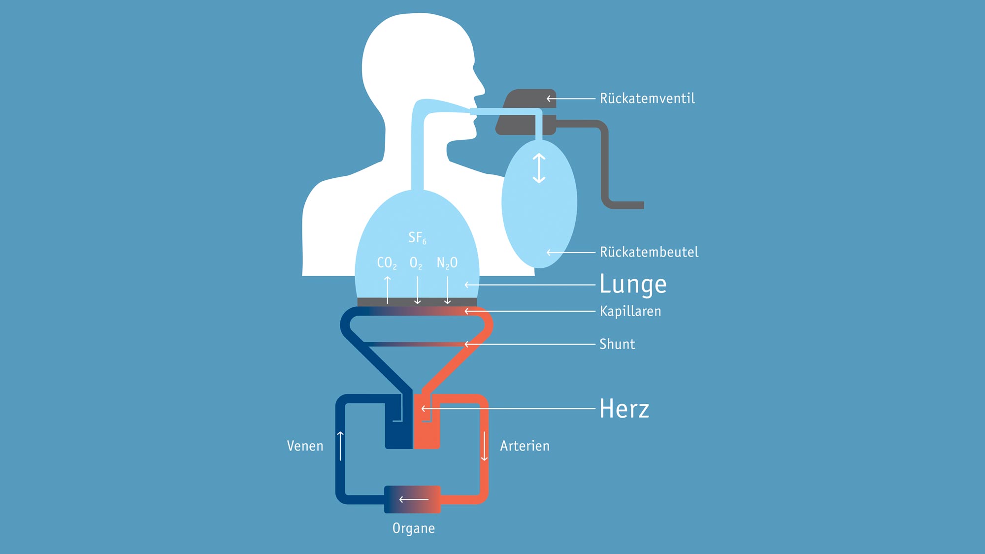 Ergo Spirometry Illustration DE
